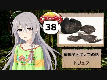 【モバマス】星輝子とキノコの話38　トリュフ