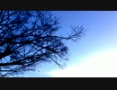【歌ってみた】 Close to you 【mikoto】