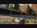 【PC版】小兵の戦闘記録-15【BO3】