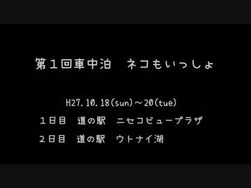 第１回車中泊　ネコもいっしょ