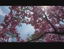 New Morning