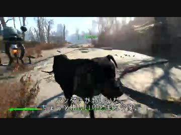【PC】イケメン！？が行くFallout4.Part16【字幕実況】