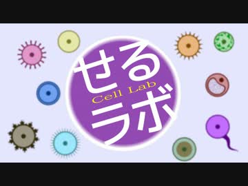 【せるラボ】結月ゆかりとエボリューション 3