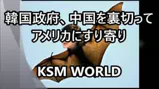 【KSM】韓国政府、中国を裏切ってアメリカにすり寄り　ミサイル防衛