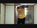 【思いのままに】闘会議2016テーマ曲【踊ってみた】
