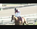 【競馬】2016年 AJCC ディサイファ【GII】