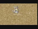 【新シリーズ】結局地面統一が一番強くてかっけぇ…【VS無統一】