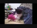 ボーズの〇〇タイム　2005－3月号