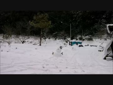 天草が雪すぎる～一晩明けました～