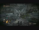 【初見】不器用が往くDARK SOULS II　part231