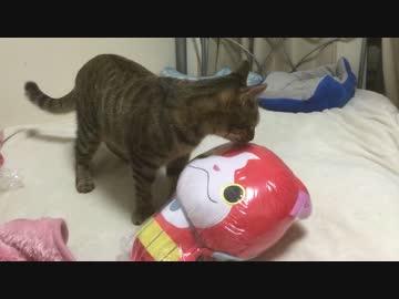 聖夜の来襲！赤い猫妖怪VS宇宙猫兄弟
