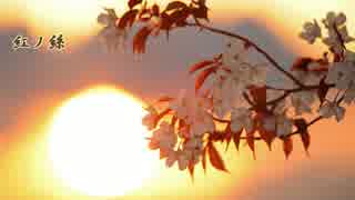 【歌ってみた】紅ノ絲【コアラ先輩】