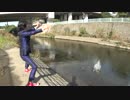 【逆ログ047】俺の召喚獣。283が川の中から召喚したポケモンは…
