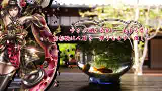 【 Sachiko 】　酔中金魚　【演歌オリジナル】