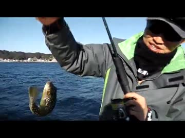 クルマで釣りに行こう♪ part 39　前編 【ウツボ】