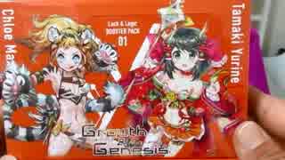 【新TCG】「ラクエンロジック」ＴＤ2種＆ブースター１ＢＯＸ開封動画part2