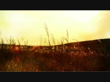 【初音ミク】ココロアンサー【オリジナル】