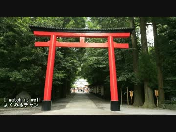 おみくじ風景　Fortune in Japan