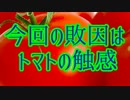 【マリオカート8】アクセル踏むと加速する…俺の中の混沌【実況】#4