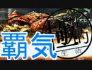 [MHX]極上的狩人生活 VSﾃﾂｶﾌﾞﾗ[4人実況]8日目