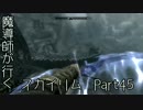 魔導師が行くスカイリムpart45