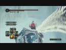 【ダークソウルⅡ】DLCエリアを協力プレイ~壁外の雪原 part2~