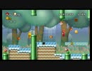 [NewスーパーマリオブラザーズWii]二人でノーコン完全クリアpart26[二人実況]