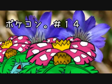 【初見2人実況】マイクラでポケモンコンプの旅。part14前編