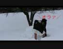 踏み固めた雪の上でGirls踊ってみたけど、それどころじゃなくなってきた