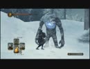 【実況】初見だけど楽したいダークソウル2【その224】