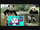 じゅそさん　あの人向け講座160128　Mid・Botワード講座