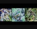 【遊戯王ADS】音響戦士Version3