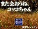 （単発）また会おうね、コッコちゃん（女性実況）