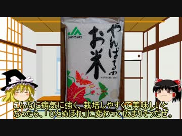 第9回 都道府県のお米【沖縄県の輝き】