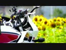 CB400SB（ポンドール）と行く　北海道＆北東北旅 Travel.3 十和田湖と奥入瀬