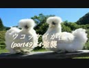 ウコッケイが往く（Part49）S5強襲
