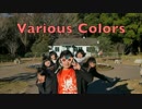 【Various Colors】Blessing 踊ってみた【newメンバー加入】