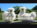 ウコッケイが往く（番外編Part18）S5強襲