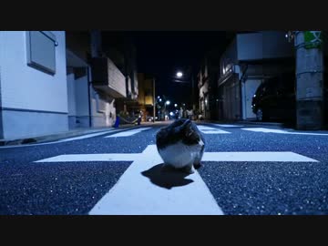 なだらかな坂道