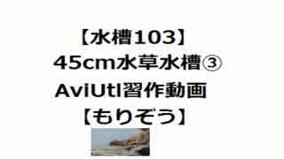 【水槽103】45cm水草水槽③AviUtl習作動画【もりぞう】