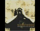 好きな邦パンク-WATER WEED / AMATERAS / FROG PILOT / RAIN MAKER / SCREAM / MACH PELICAN