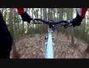 クロスバイクで飯能トレイルライド