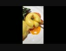 マイビデオ0201350JPPatchegg