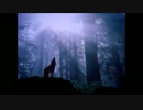 ウルフマンハンター（Howling mix）／DATゾイド