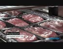 【疑似m@s】牛密封