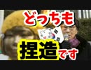 【日本政府】国連に答弁書提出「強制連行は根拠がない」