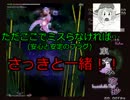 【実況】東方を３ミリも知らない僕が弾幕STGに挑戦【永夜抄EX】 4