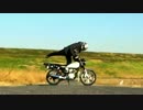 SRかな？【愛車紹介】篇