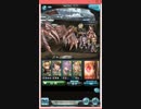 グラブル カイオラ フェローバトル【栄光】