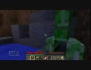 チキンな奴がMinecraft！9